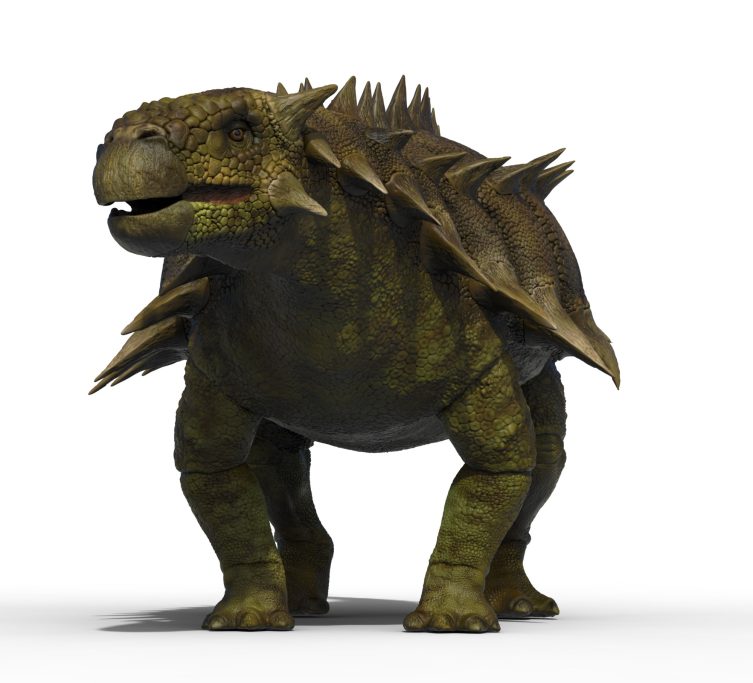 Ankylosaur