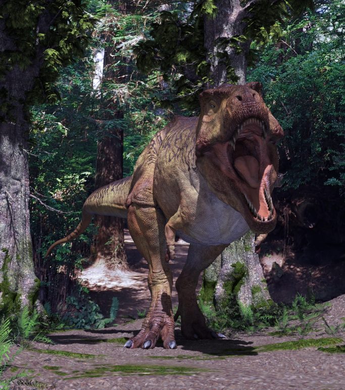 T Rex in the woods