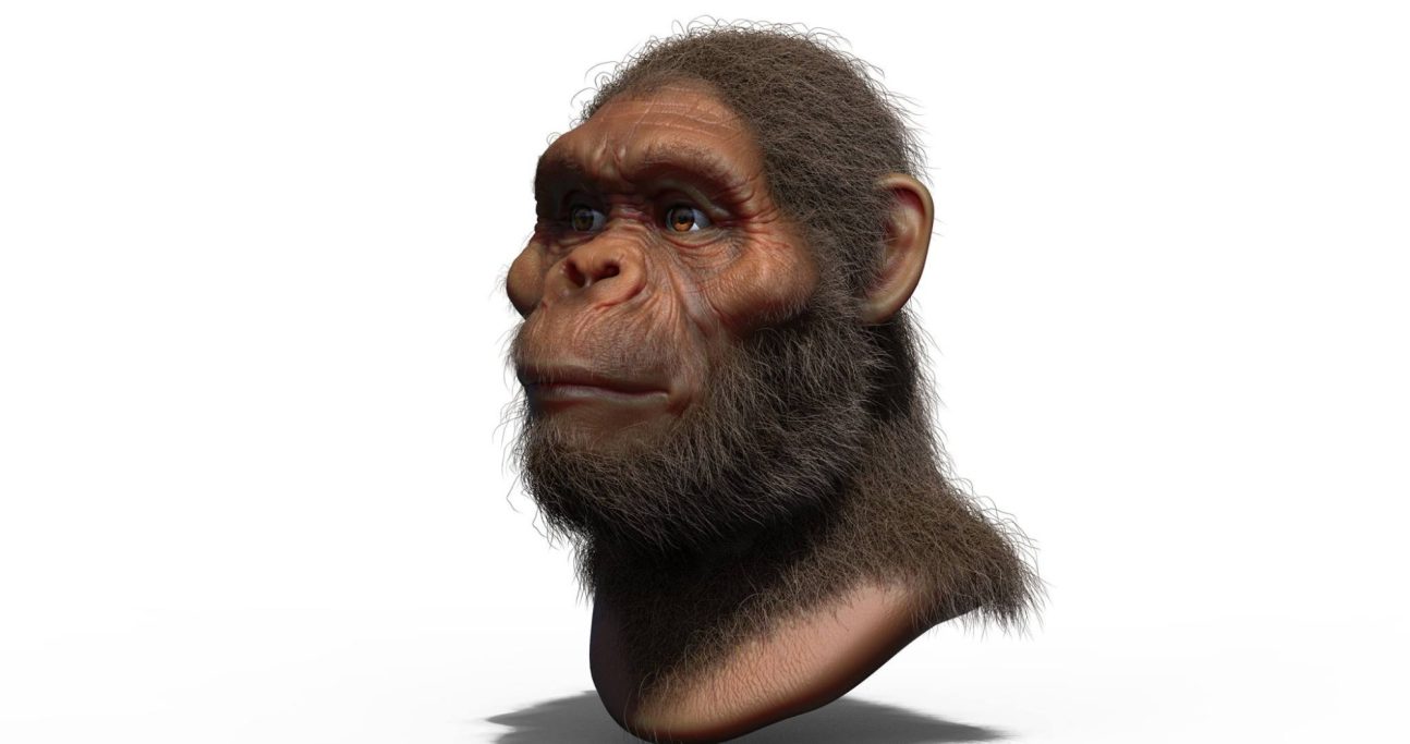 Digital model prototype