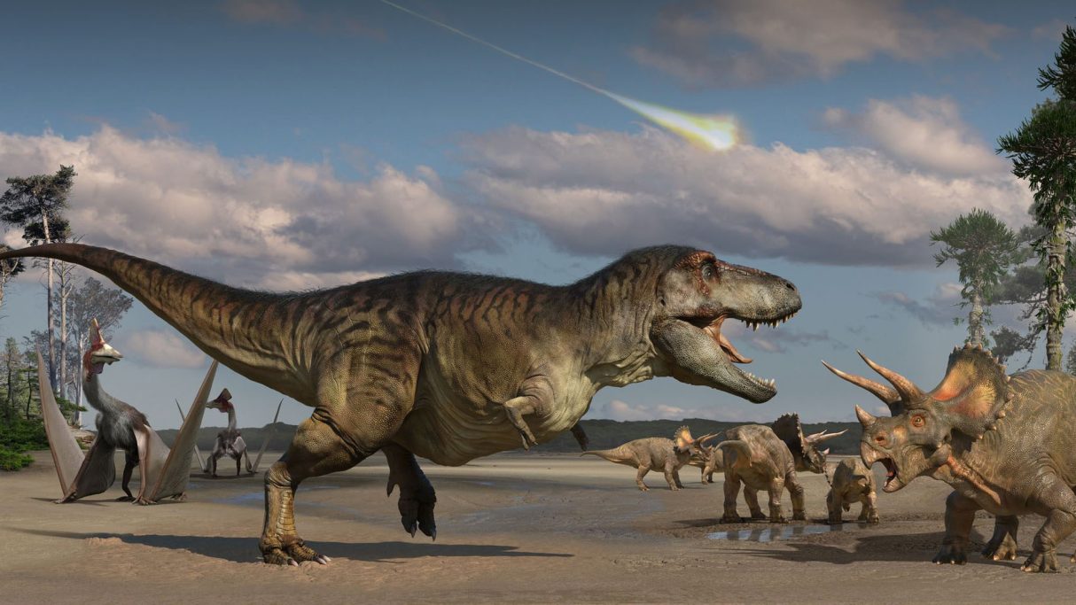 Scotty the T rex on the last day