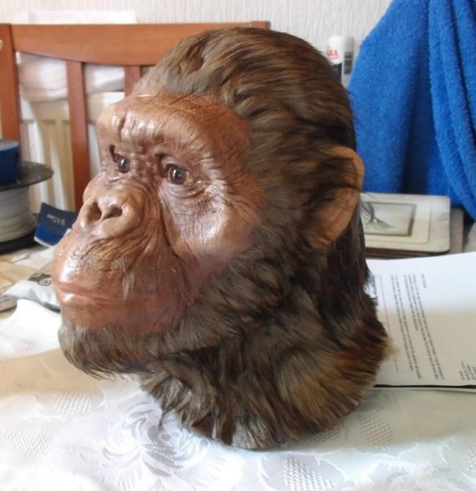 Printed head, painted with punched hair and fur